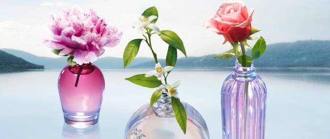 Essência Personalizada Valores  na Anália Franco - Perfume Personalizado na Zona Norte