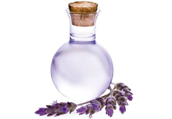 Perfumes para Ambientes  na Sé - Perfume Personalizado em SP