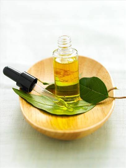 Serviço Aroma para Empresa no Jabaquara - Empresas de Marketing Aromático Serviço Aroma para Empresa no Jabaquara - Empresas de Marketing Aromático