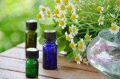 Serviço e Preço  de Aromatização Eventos  na Água Funda - Aromatização de Eventos na Zona Sul