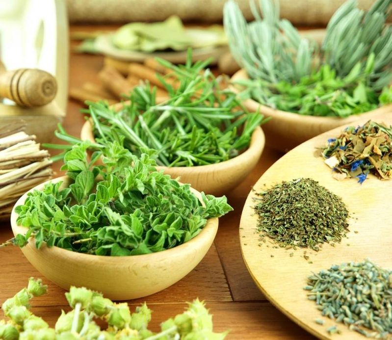 Serviços Aromatização para Evento Preço  na Bela Vista - Aromatização para Evento 