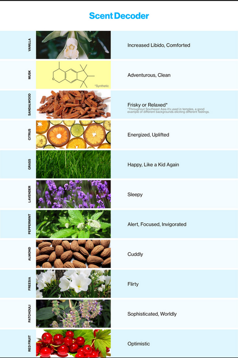 Solicitar Aromatização Ambientes no Itaim Bibi - Serviço de Aromatização de Ambientes