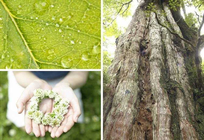 Valor Aromatização Evento  no Jardim São Luiz - Aromatização de Eventos Preço